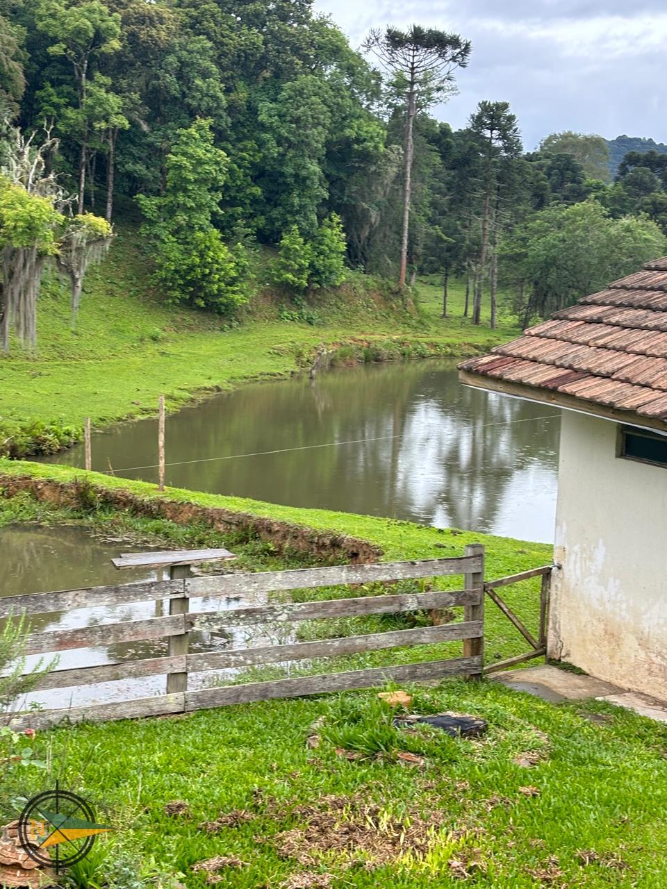Foto do imóvel: 'Sítio em Campo Alegre 75mil m² R$ 890.000'