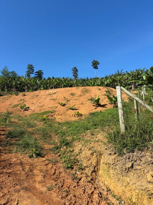 Terreno / Sítio à venda em Barra Velha – Rio Novo 🌳