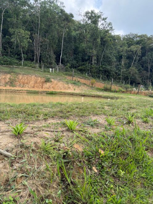 Oportunidade: Terreno de sítio com 1.100m² com lago perto da Parada Ferretti